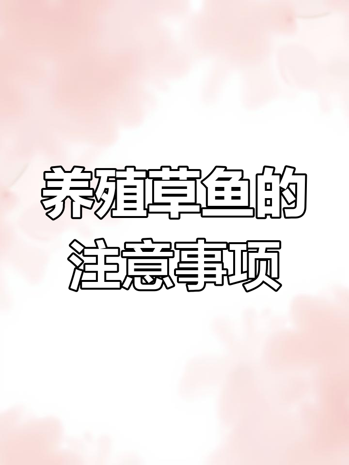 养草鱼必知的三大要点