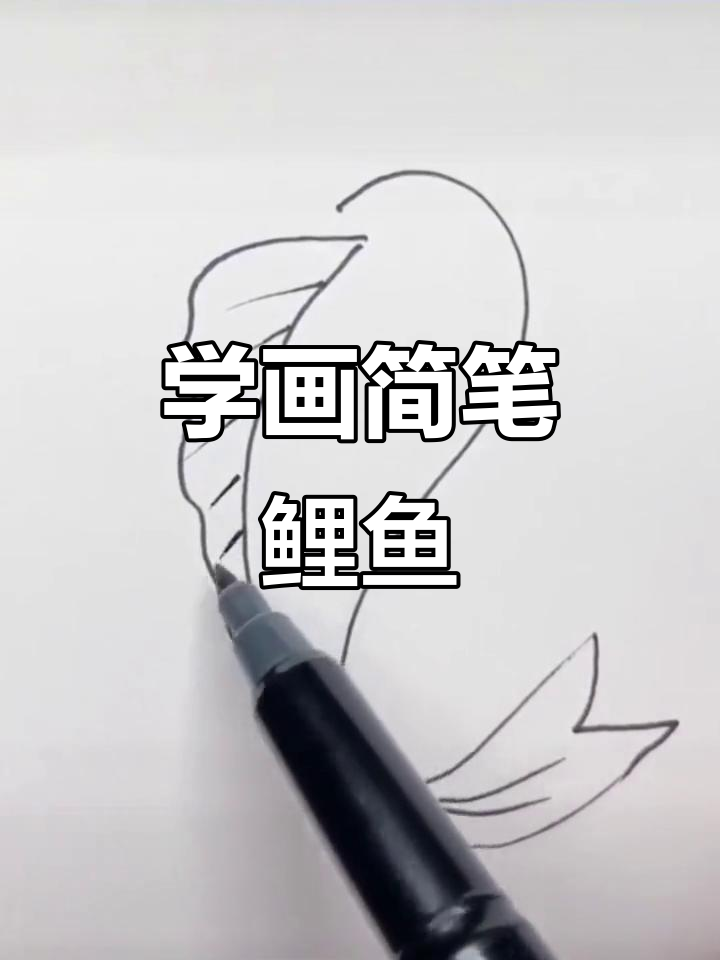 轻松学画鲤鱼,简单又有趣