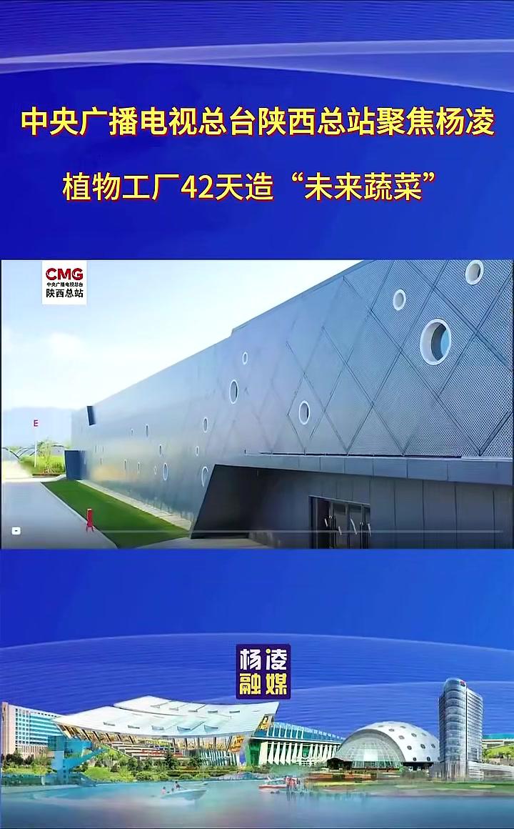 中央广播电视总台陕西总站聚焦杨凌:植物工厂42天造“未来蔬菜” 中国杨凌农创汇 打造旱区农