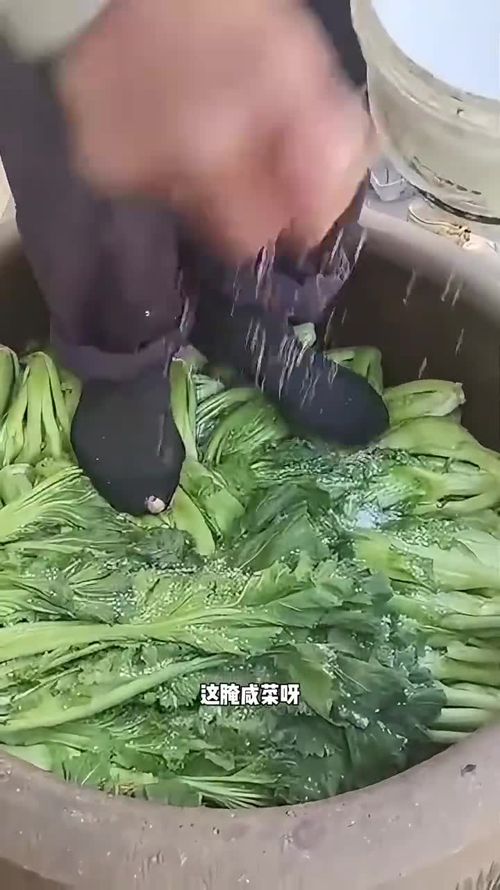 这种菜在外面都买不着 搞笑配音