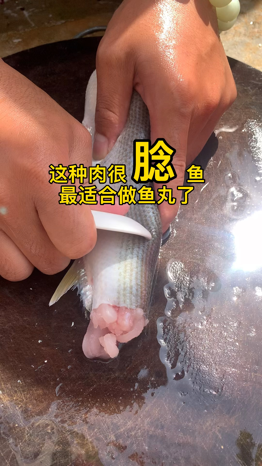 这种肉很腍的鱼最适合做鱼丸了