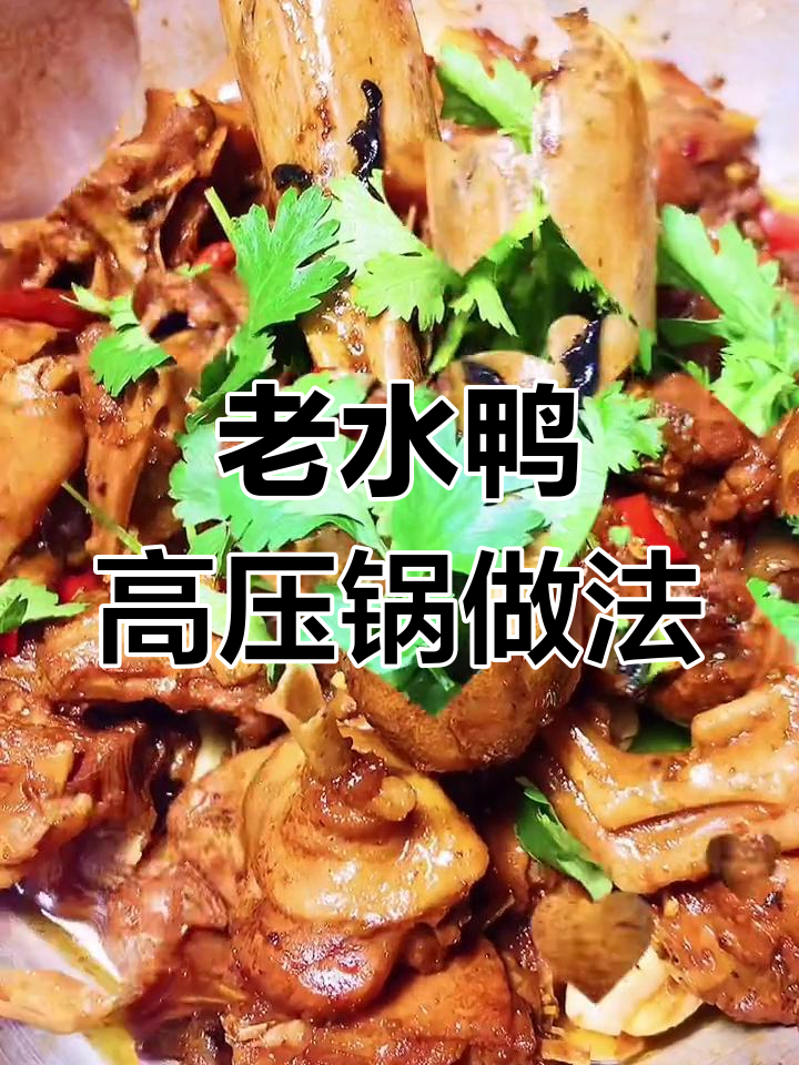高压锅炖老水鸭,香气扑鼻,味道十足