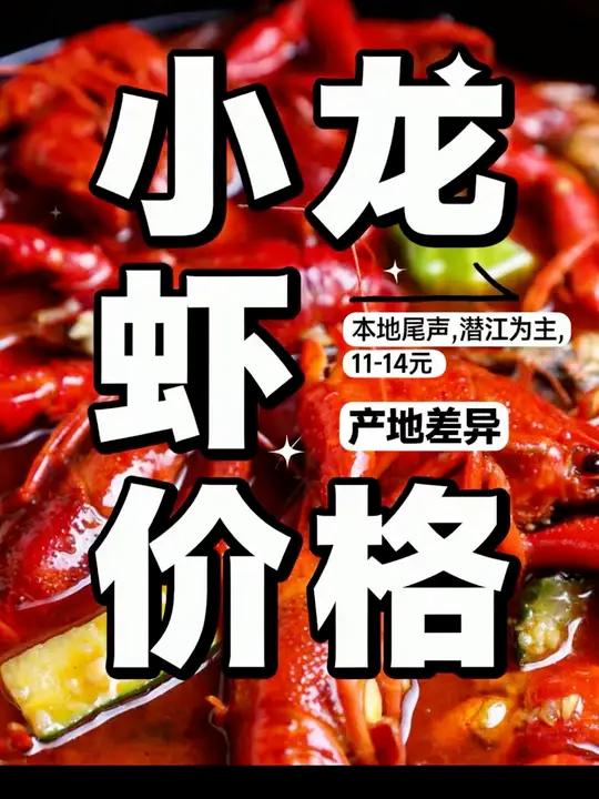 今日小龙虾行情#小龙虾 #三农养殖 #关注民生