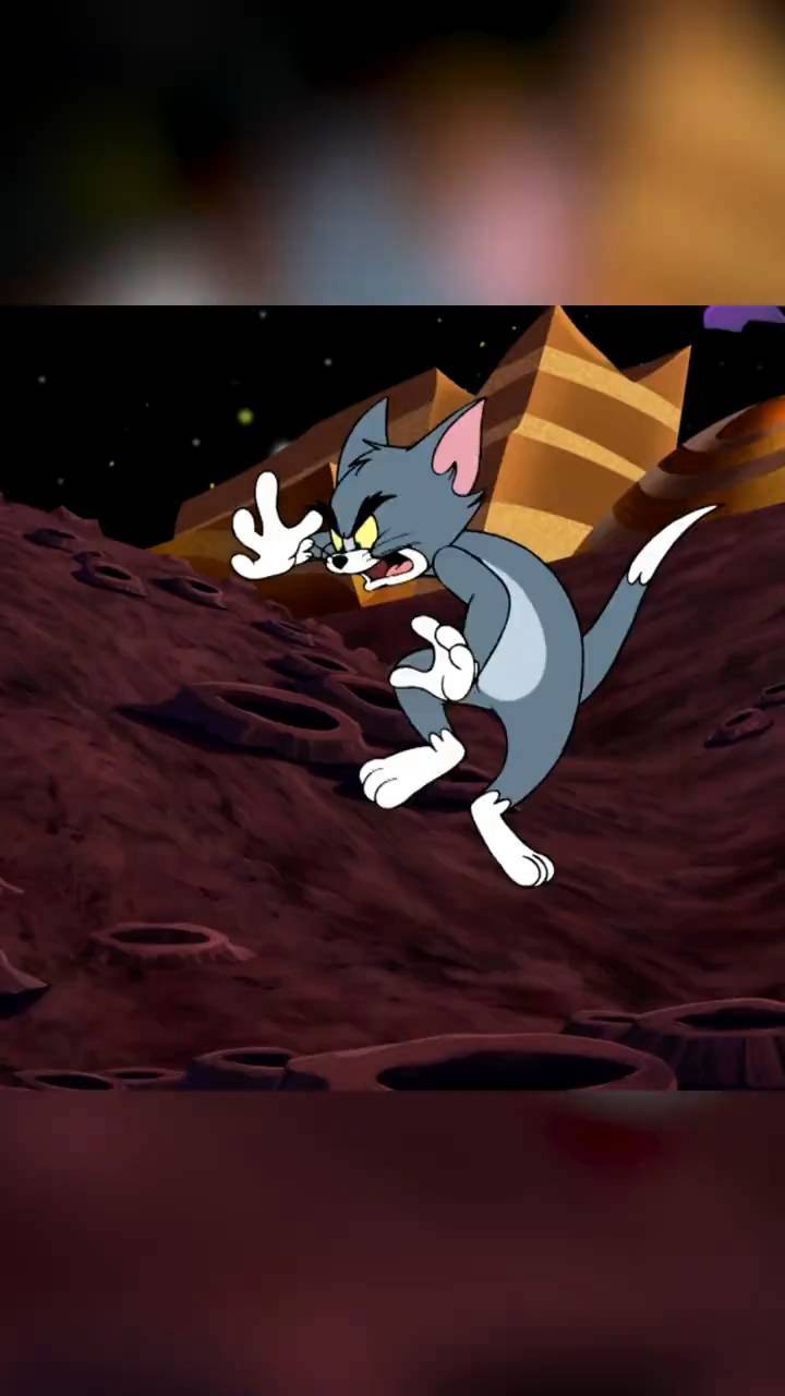 搞笑的汤姆猫和老鼠
