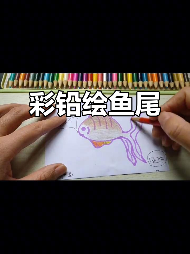 用彩铅画鱼尾,简单又美丽