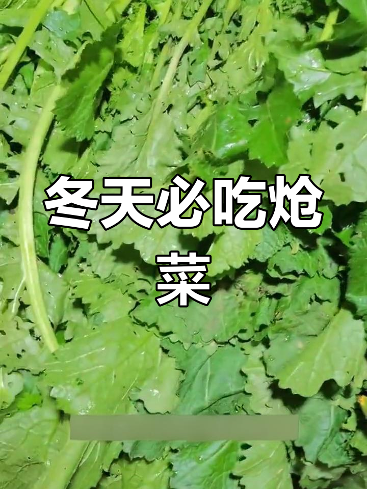 冬季最爱的炝菜,玉米珍配雪里红,味道绝了!