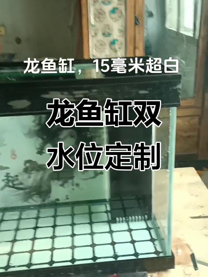 双水位龙鱼缸,直角溢流设计完美呈现