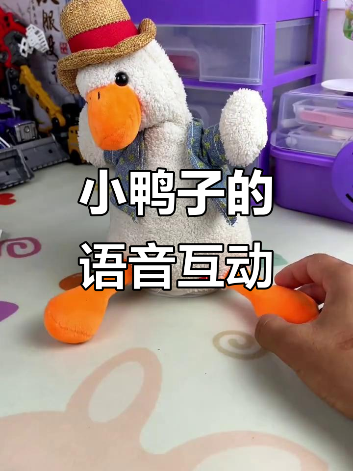 这款会说话的小鸭子,唱歌、录音样样行
