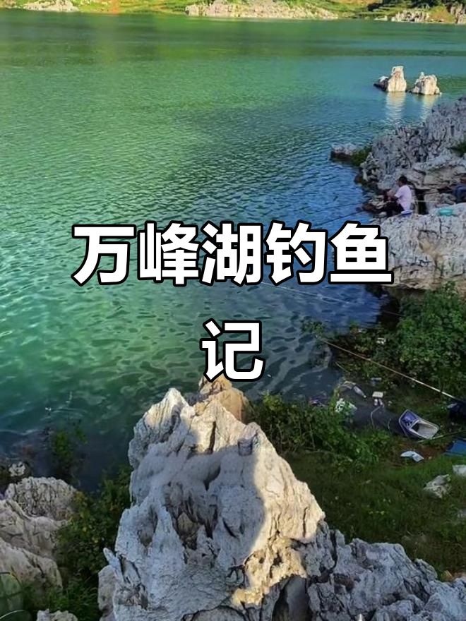 7月3日万峰湖红椿码头钓鱼实况,鱼情波动大