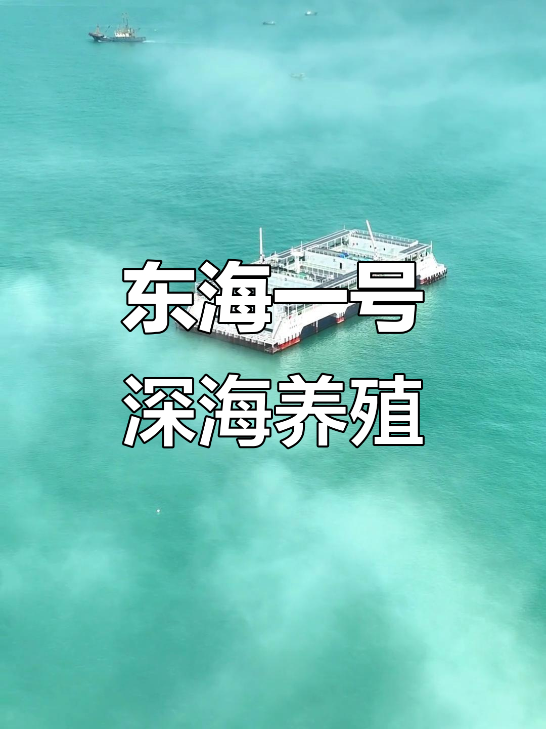 浙江宁波东海一号:深海鱼别墅,大黄鱼的野生家园