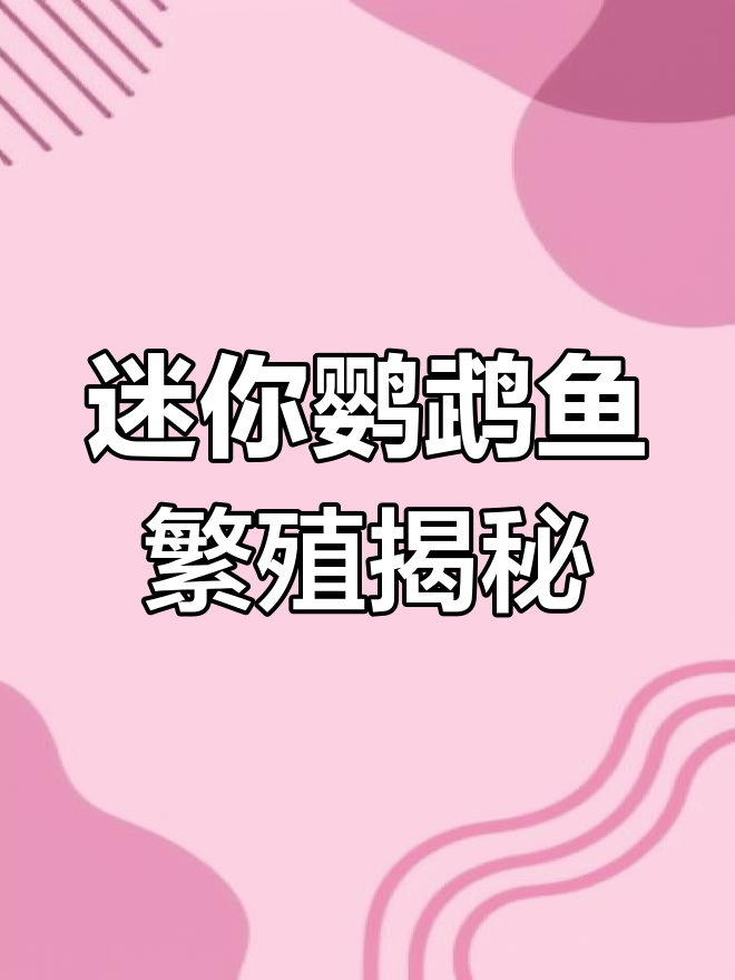 迷你鹦鹉鱼五个月就能繁殖,一次产卵百余枚