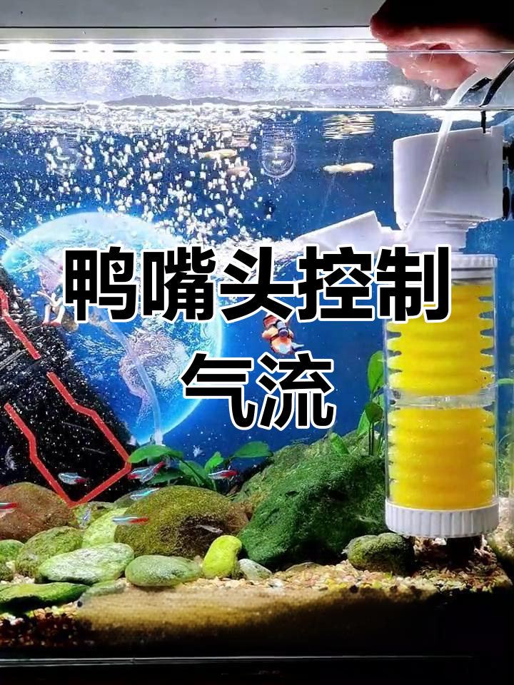 内置过滤器鸭嘴头调节出气方向,不影响过滤效果