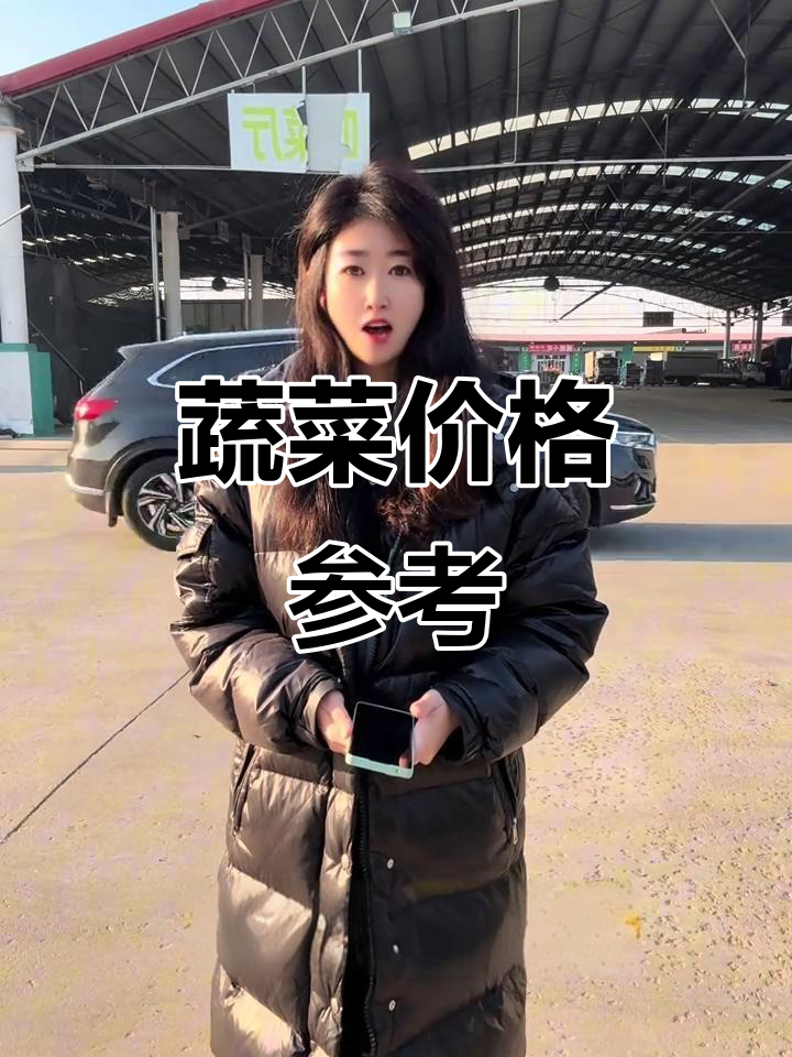 12月27日天津蔬菜市场报价,仅供参考