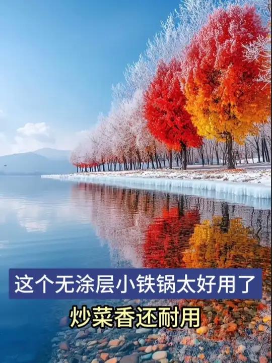 这个无涂层小铁锅太好用了,炒菜香还耐用,家里没有的一定要备一个 厨房好物 铁锅 不粘锅 厨