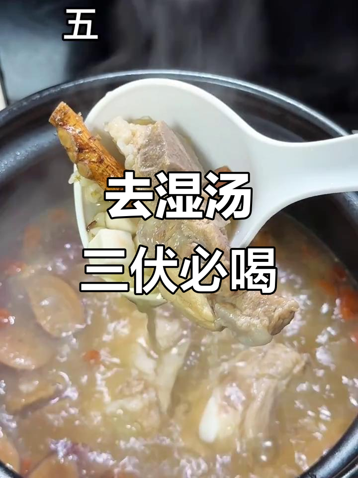 三伏天必备去湿汤,五指毛桃薏米排骨汤助你告别油腻乏力