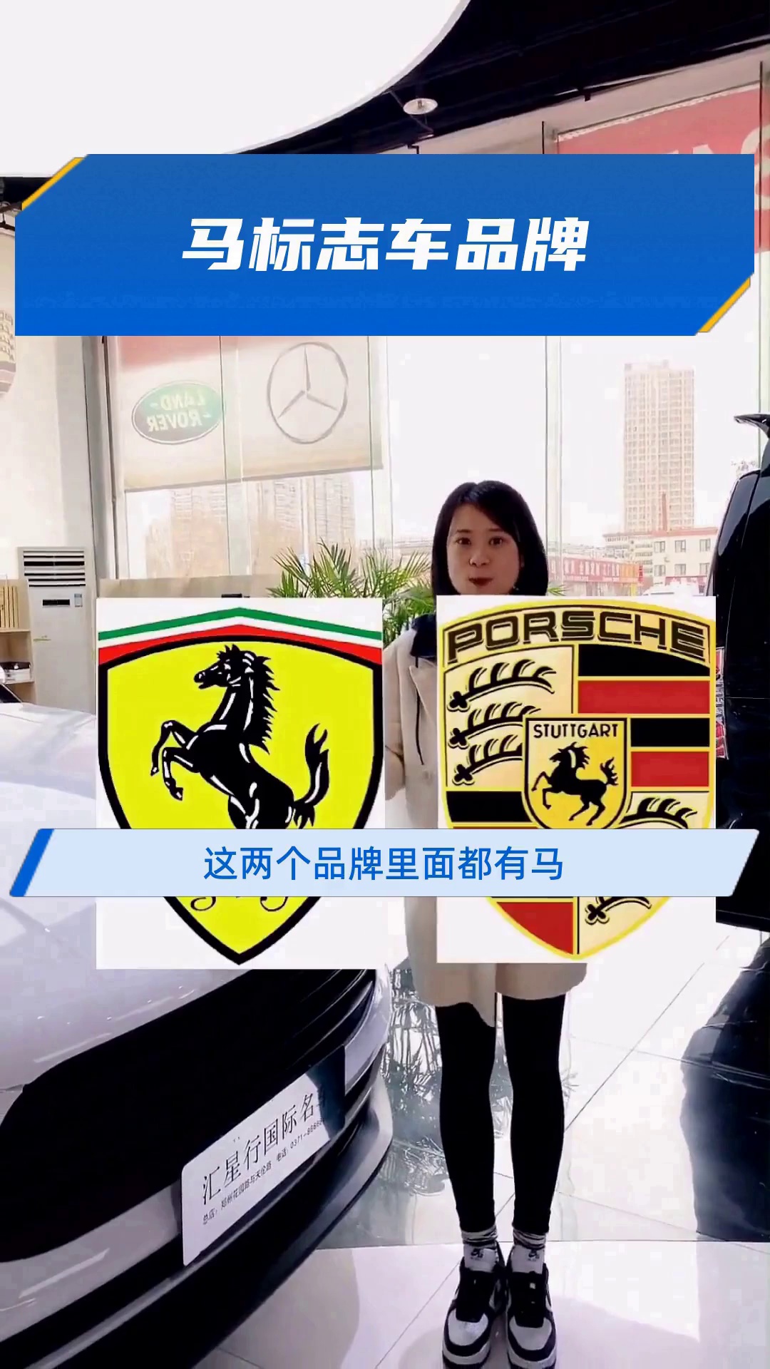 马标志车品牌