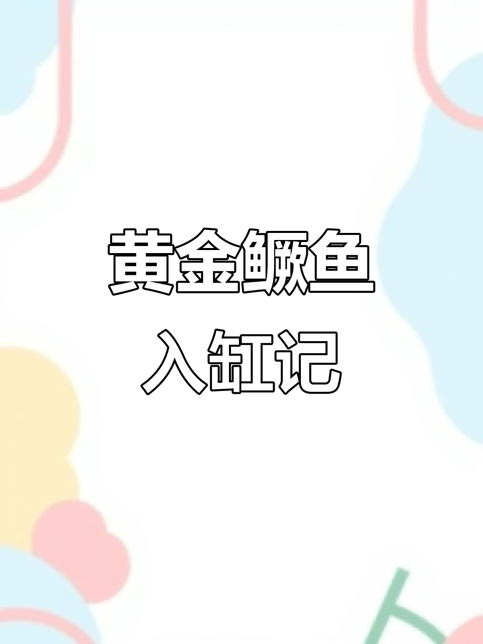 黄金鳜鱼入缸第一天，18公分小家伙互动性强