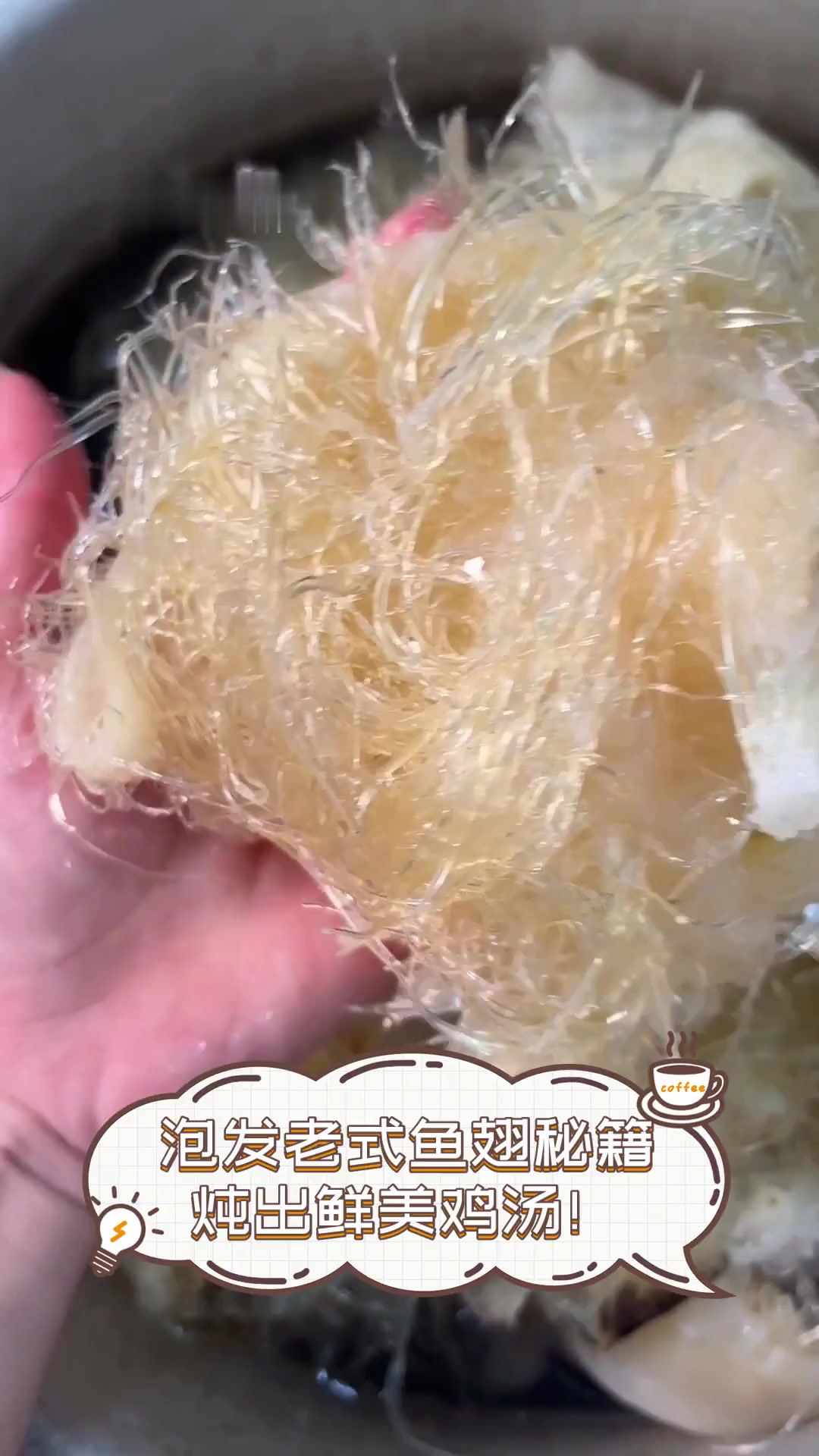 泡发老式鱼翅秘籍,炖出鲜美鸡汤!