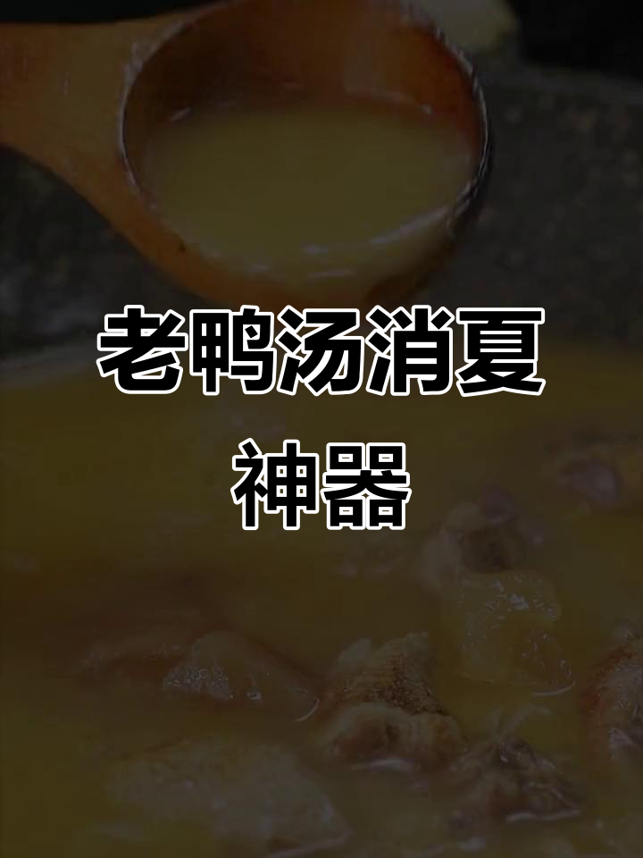 夏日必备老鸭汤，酸爽开胃，消暑解乏！
