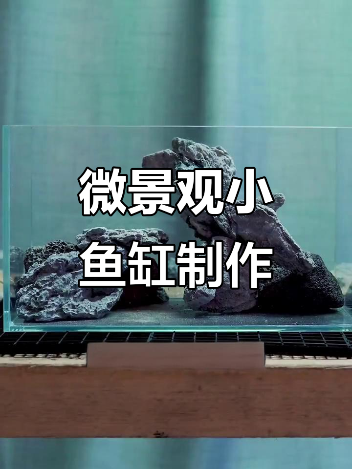 小鱼缸造景教程：苔藓、水草与小植物的完美搭配