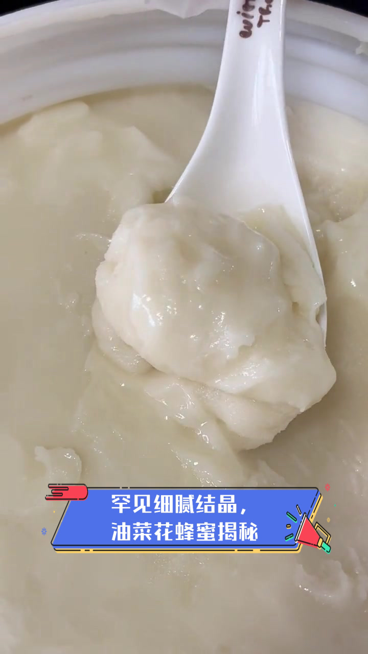 罕见细腻结晶，油菜花蜂蜜揭秘
