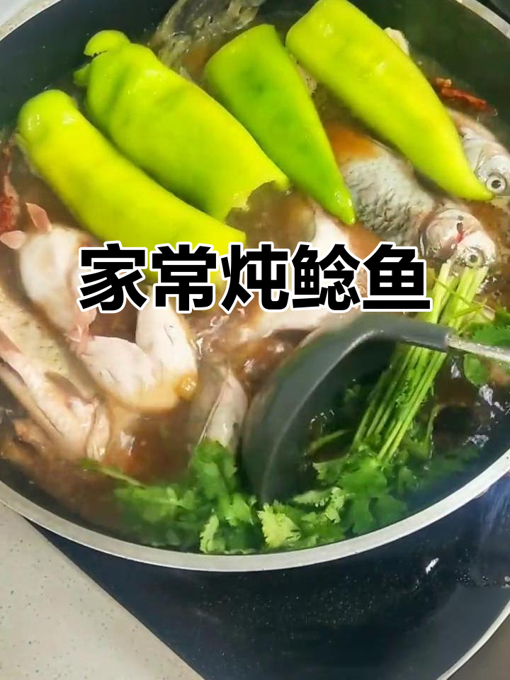 炖鲶鱼家常做法,酱香十足,汤汁鲜美