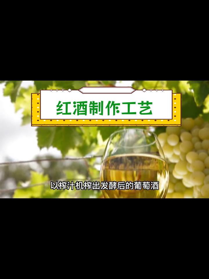 红酒酿制全过程解析
