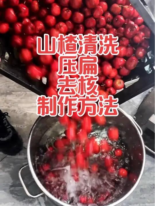 冰糖葫芦山楂清洗去核压扁制作教程 每天都有问山楂要不要清洗?山楂怎么去核?扁山楂是不是要蒸