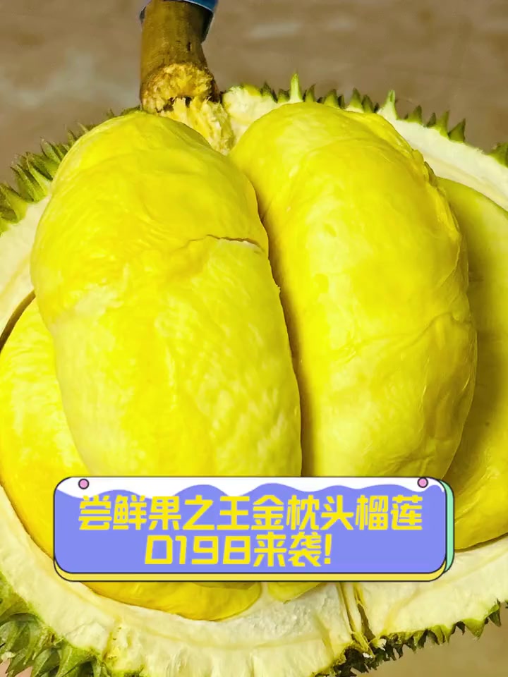 尝鲜果之王金枕头榴莲,D198来袭!