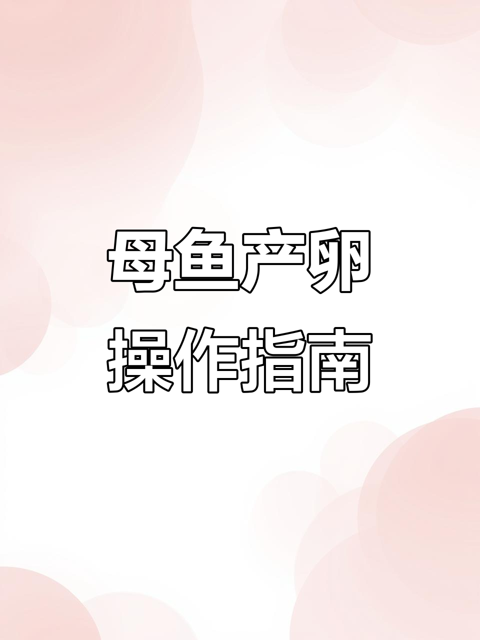 人工排卵技巧大揭秘，如何提高兰寿金鱼成活率
