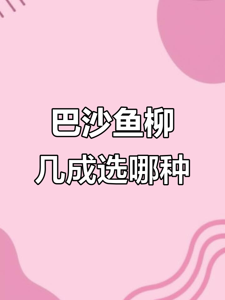 买巴沙鱼柳时,九成和七成的区别你知道吗?