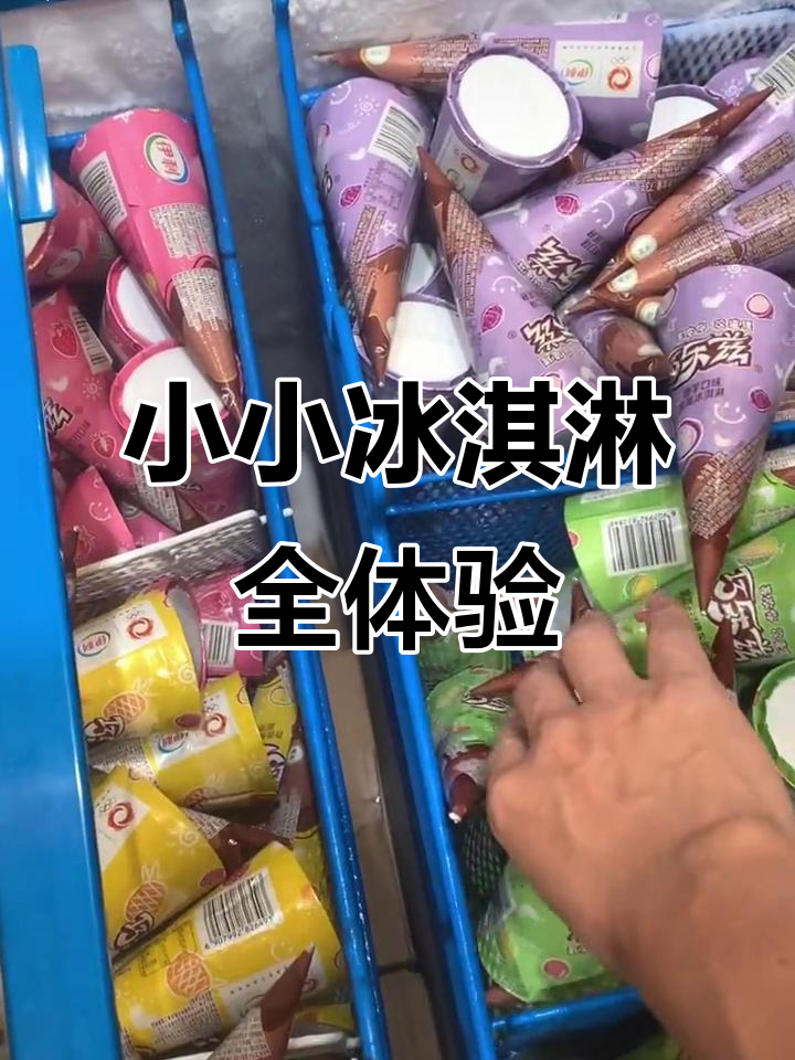 迷你冰淇淋大集合,巧克力、芒果、香草口味一网打尽