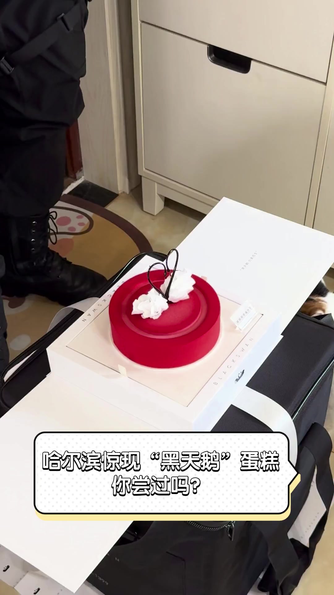 哈尔滨惊现“黑天鹅”蛋糕,你尝过吗?