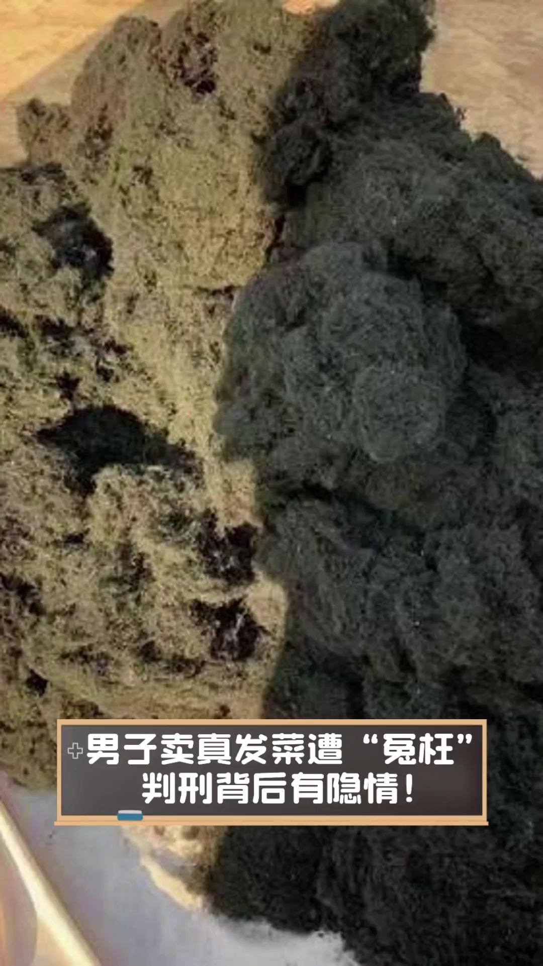 男子卖真发菜遭“冤枉”,判刑背后有隐情!