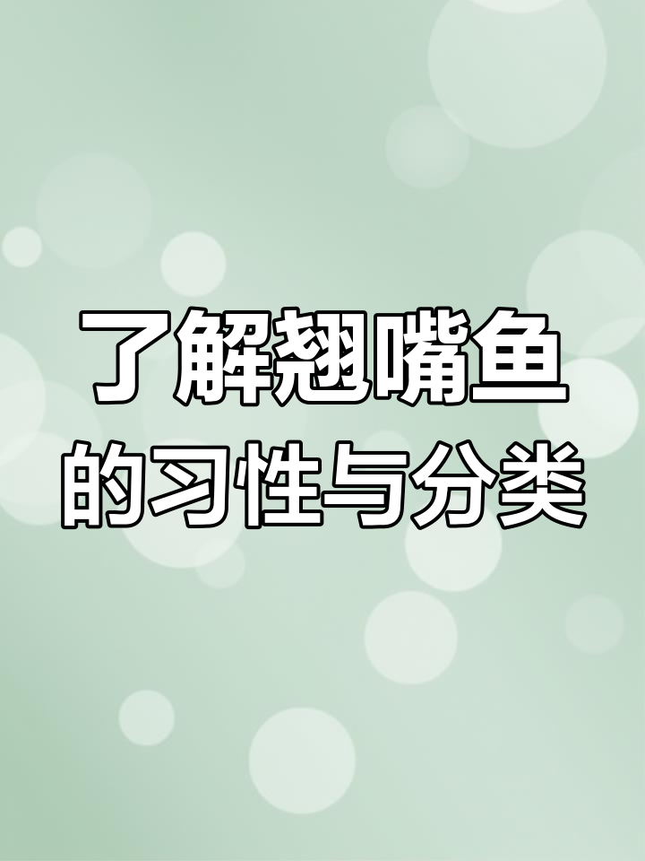 翘嘴鱼种类大揭秘,路钓前必知习性