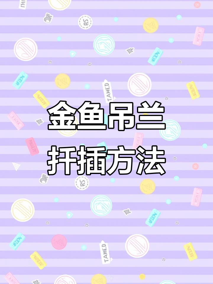 金鱼吊兰扦插技巧,轻松成活秘诀大公开