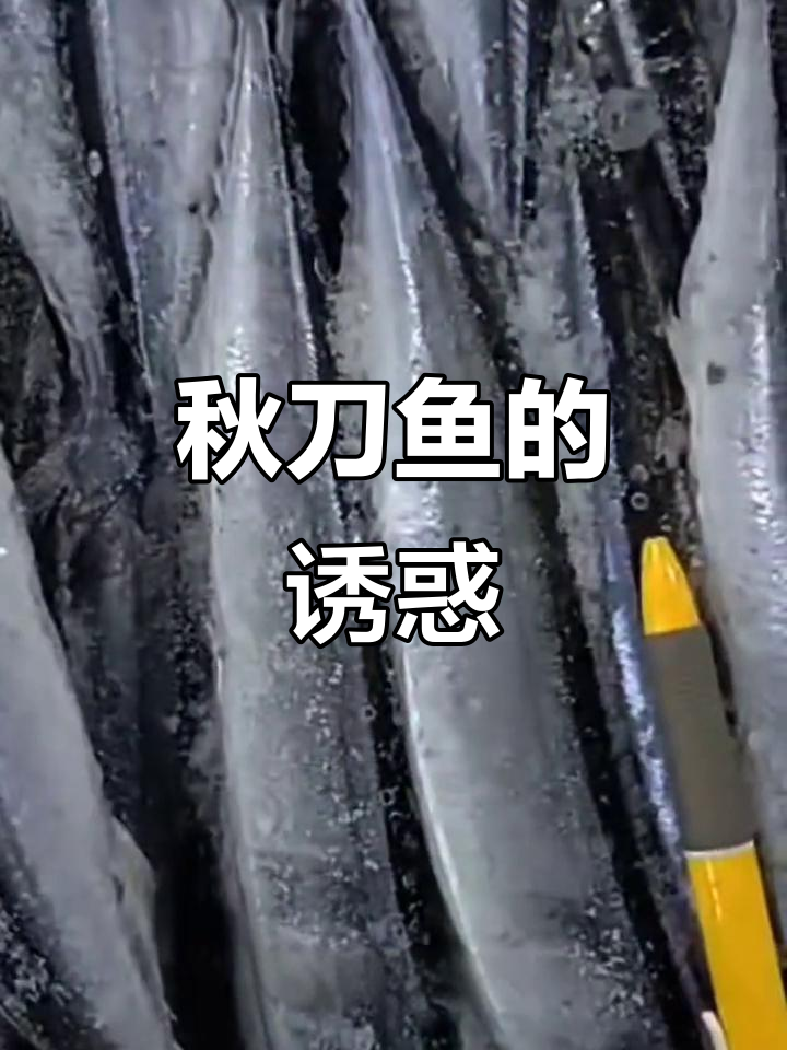 秋刀鱼鲜嫩,多种做法尽显深海美味,冷冻保存更添风味