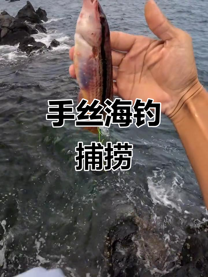 济州岛手丝海钓,捕获花鳍副海猪鱼