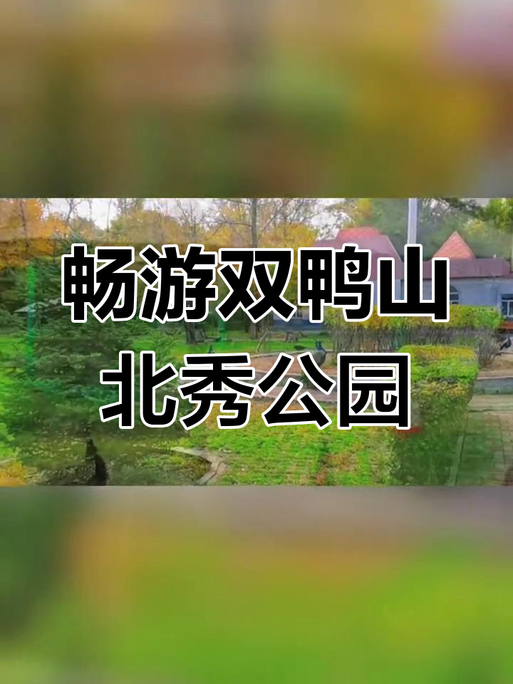 双鸭山北秀公园:从1957年到焕然一新,探秘黑龙江生态之旅