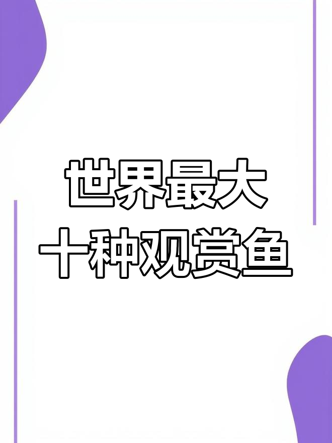 十大巨型观赏鱼,最后一种你猜是什么?