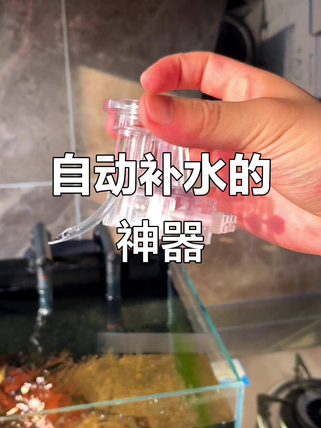 鱼缸自动补水器,让你放心出门不担心水位下降