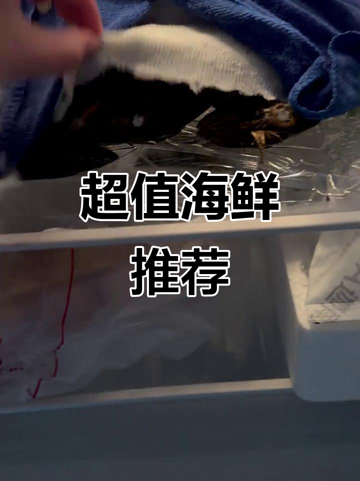海鲜新鲜又实惠,肉质鲜嫩,壳薄口感绝佳!