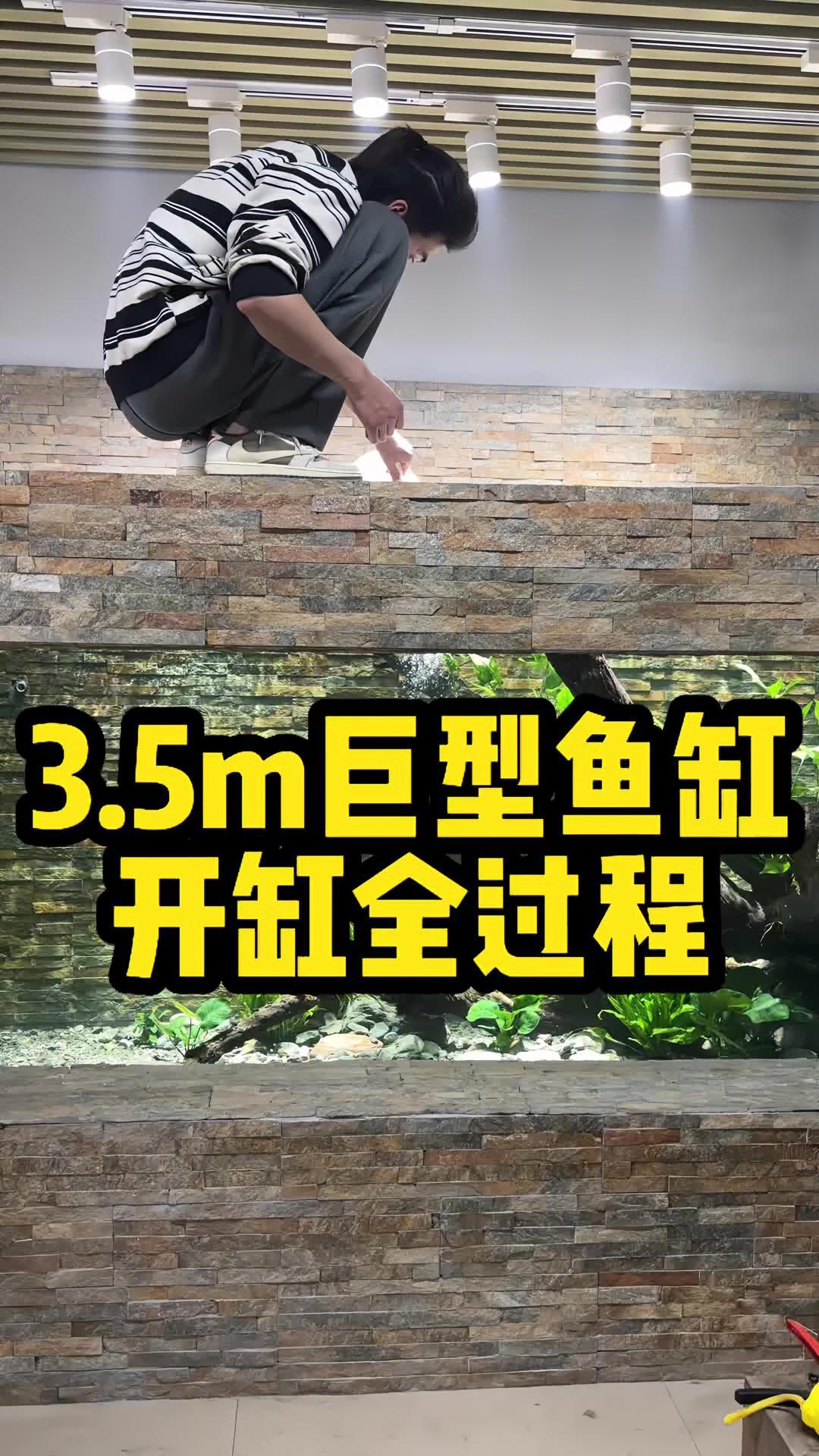 3.5米巨型鱼缸开缸制作全过程!最后的效果绝了~ 大鱼缸 开缸 水族 造景 水草缸