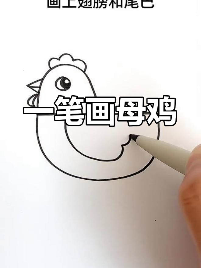简单几步画出母鸡