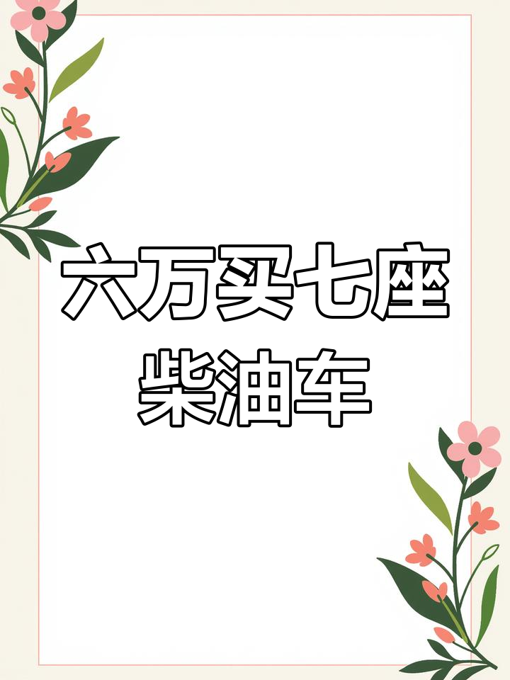 七座商旅版柴油车,六万块就能拥有!