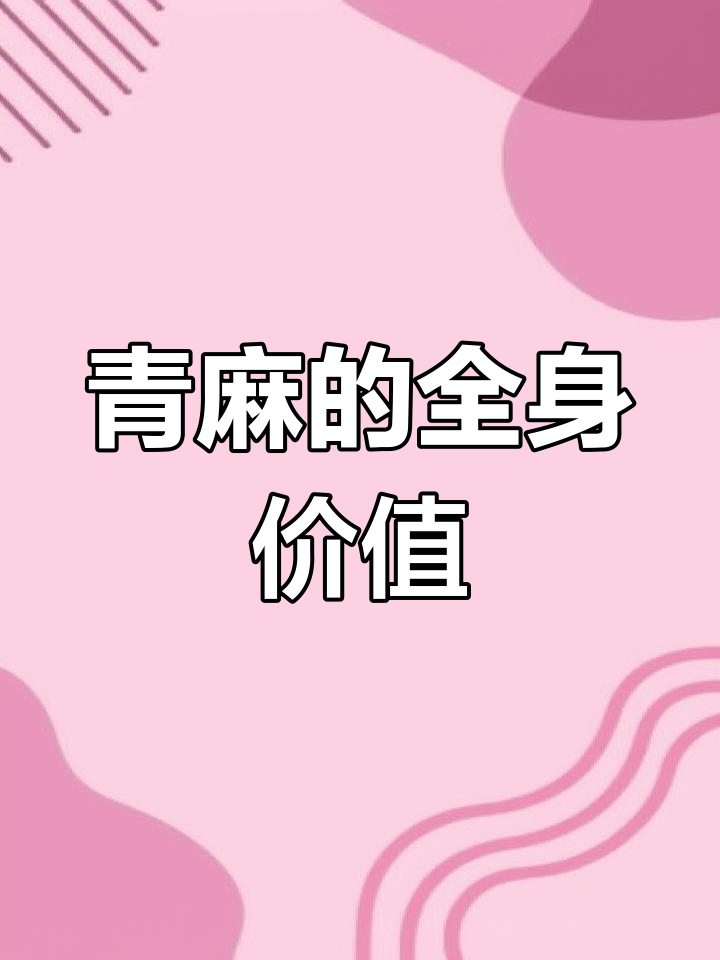 青麻的神奇作用:从面瓜曲到东葵籽,全身都是宝