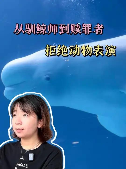 面对面流泪时，一人一鲸就成了同类