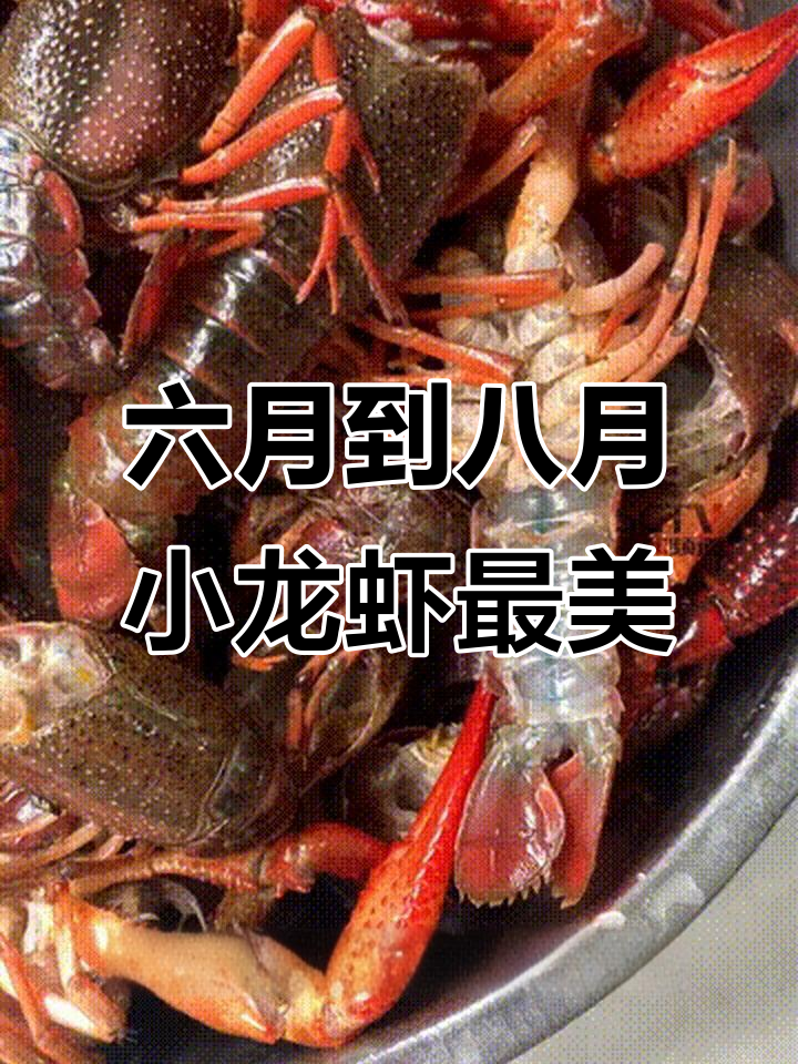 小龙虾最肥美的季节,六七八月吃最好