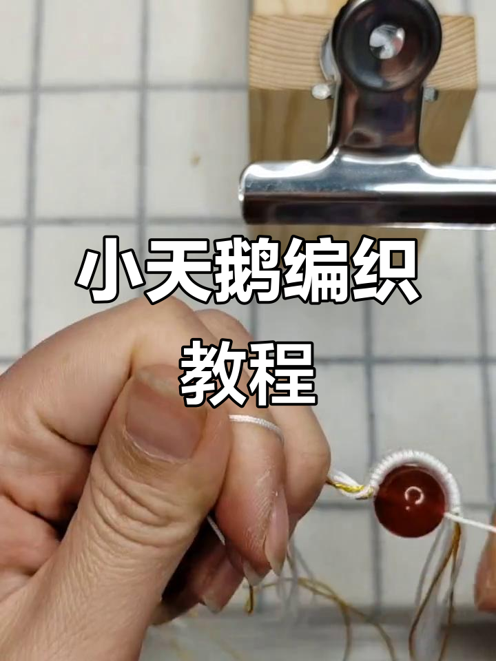 手工小天鹅教程：简单步骤教你做可爱编织