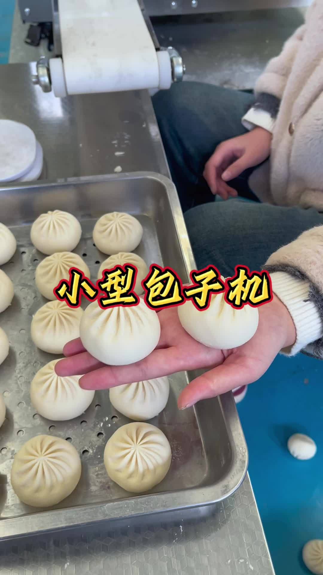 小型全自动包子机,告别繁琐 包子机 全自动包子机 小型包子机 发面包子机 包子机厂家